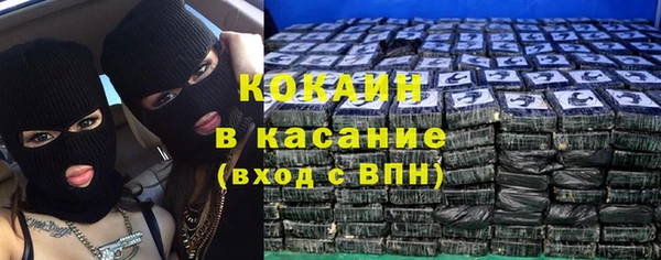 прущие грибы Киренск