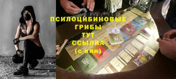 прущие грибы Киренск