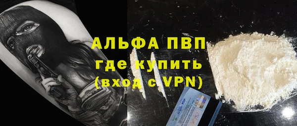 трава Карпинск