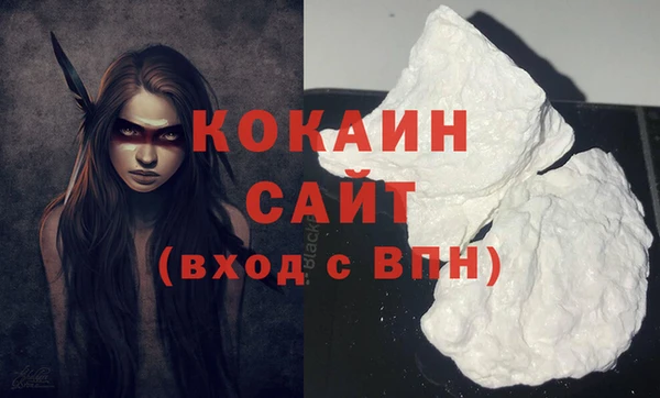 трава Карпинск