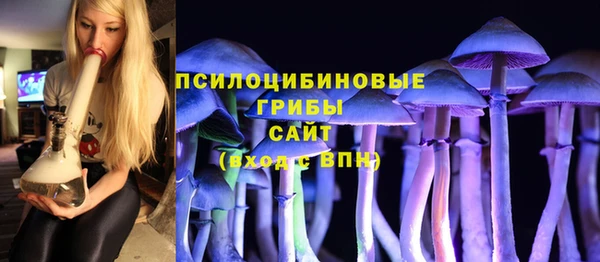 шишки Киреевск