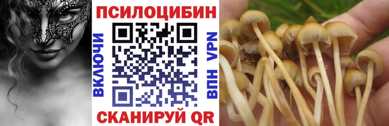 Галлюциногенные грибы прущие грибы  Купить  Унеча 